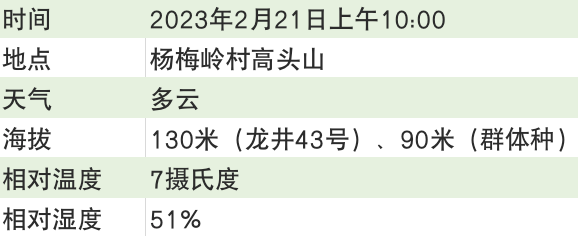有关于2023西湖龙井之声② 茶芽监测 6位传承人守护 遇见18颗茶芽宝宝，今年的监测不一般！的相关内容(38)