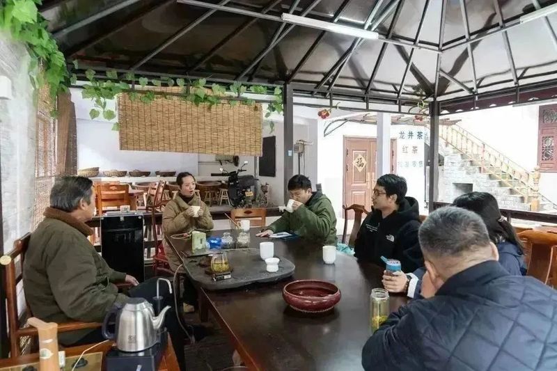 有关于2023西湖龙井之声② 茶芽监测 6位传承人守护 遇见18颗茶芽宝宝，今年的监测不一般！的相关内容(22)