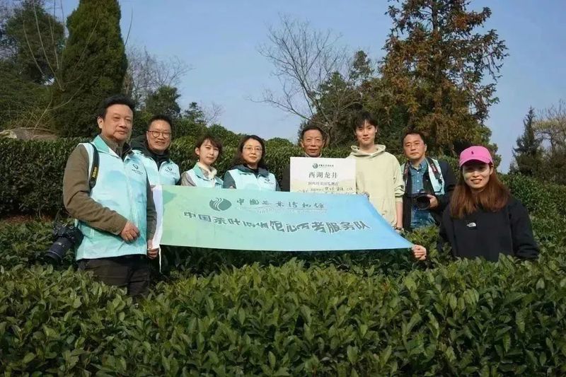 有关于2023西湖龙井之声② 茶芽监测 6位传承人守护 遇见18颗茶芽宝宝，今年的监测不一般！的相关内容(29)