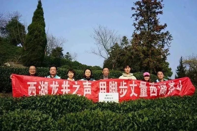 有关于2023西湖龙井之声② 茶芽监测 6位传承人守护 遇见18颗茶芽宝宝，今年的监测不一般！的相关内容(27)