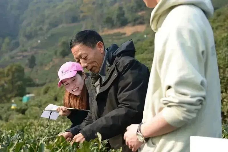 有关于2023西湖龙井之声② 茶芽监测 6位传承人守护 遇见18颗茶芽宝宝，今年的监测不一般！的相关内容(28)