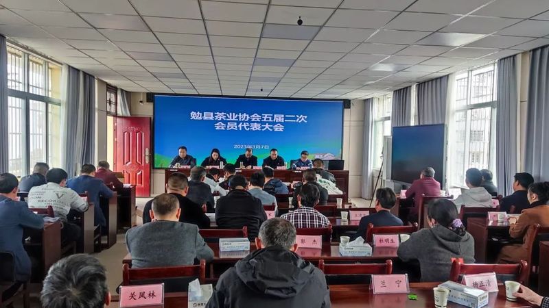 关于聚焦茶产业 共谋茶发展——勉县茶业协会五届二次会员代表大会顺利召开的内容(1)