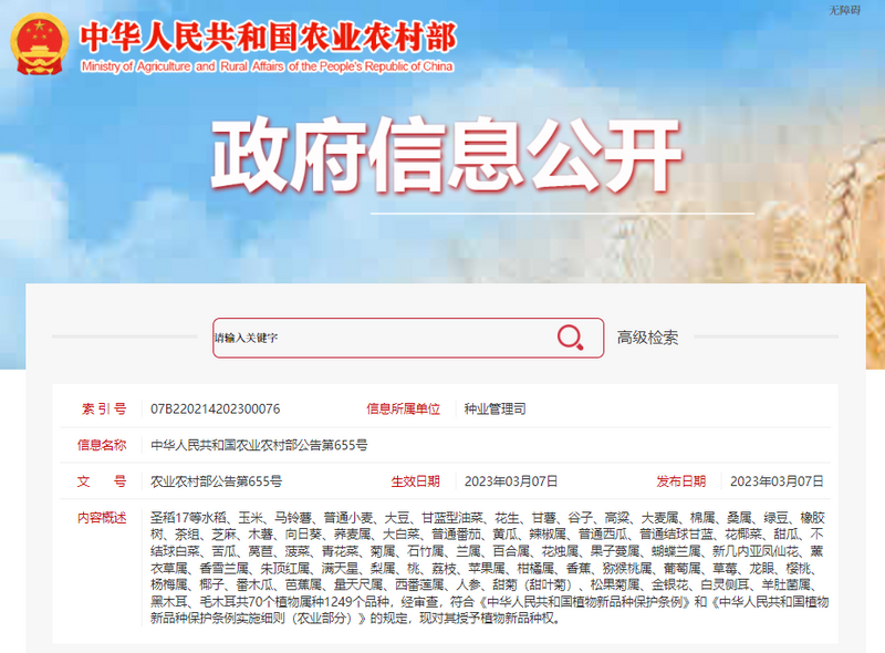关于农业农村部第655号公告：17个茶树新品种被授予植物新品种权的最新消息