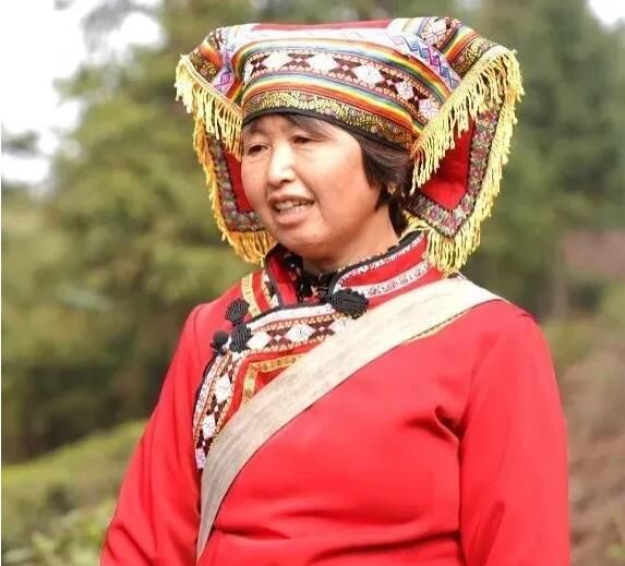 关于回龙山瑶族乡：瑶乡春茶抢“鲜”开采的消息(1)