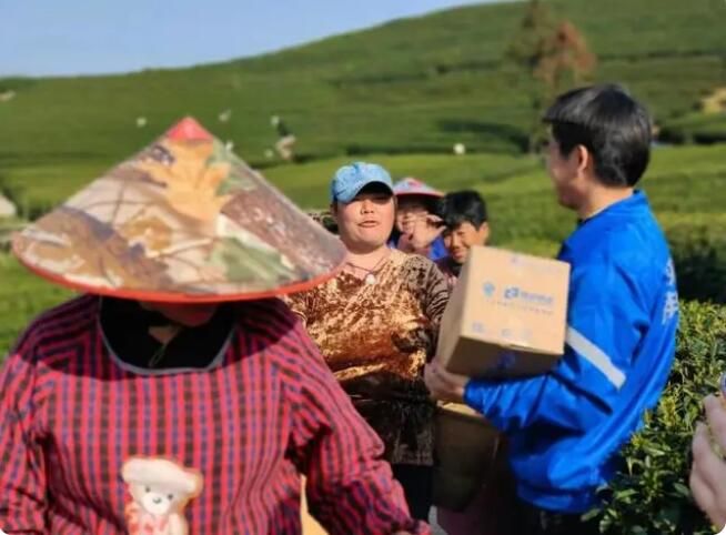 有关于西湖龙井春茶上新！德邦实现产地直发空陆联运助力春茶安全出山的资讯(2)