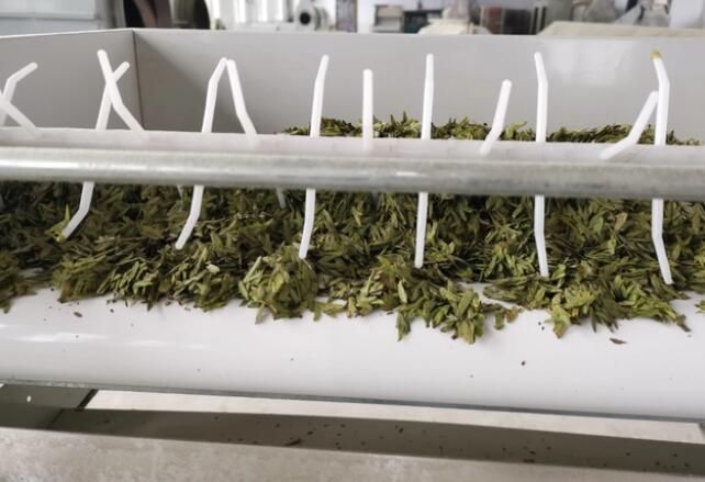 关于沿河：春茶抢鲜开采的相关内容(3)