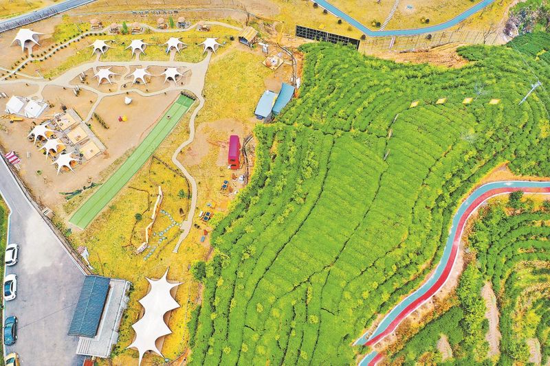 关于福建福鼎以茶富农经验做法的信息