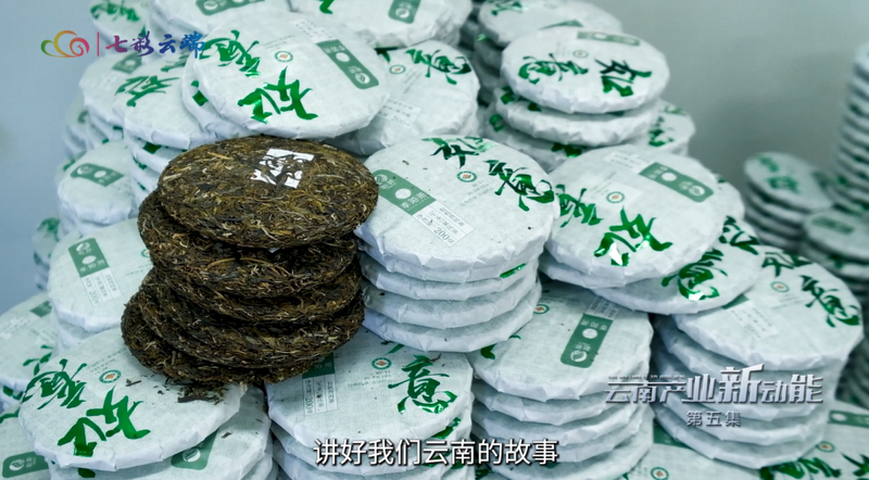 关于云南产业新动能：草木含金 云南茶叶强省进行时的相关信息(2)
