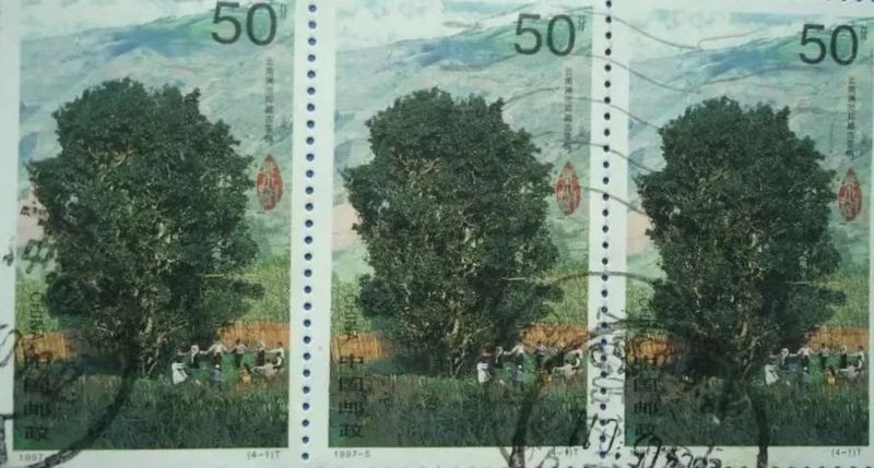 关于云南产业新动能：草木含金 云南茶叶强省进行时的相关信息(5)