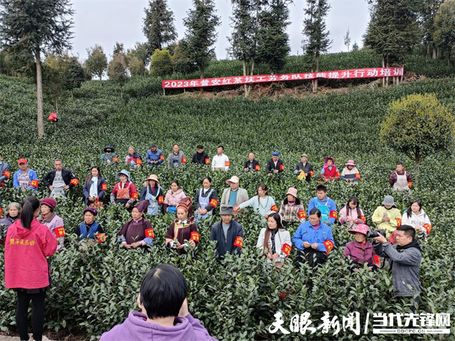 有关于普安县组织开展2023年普安红茶技工劳务队技能提升行动培训的信息