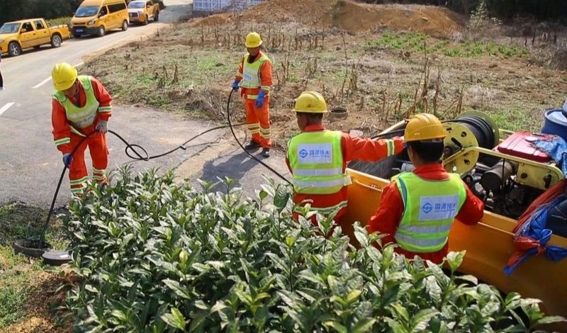 有关于茶农茶企:细致!周到!的信息(3)