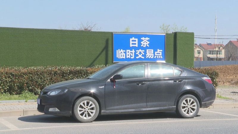 有关于茶农茶企:细致!周到!的信息(2)