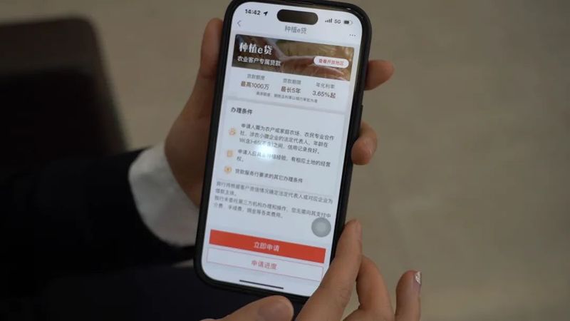 关于都匀市金融机构加大力度助力春茶生产的消息(5)