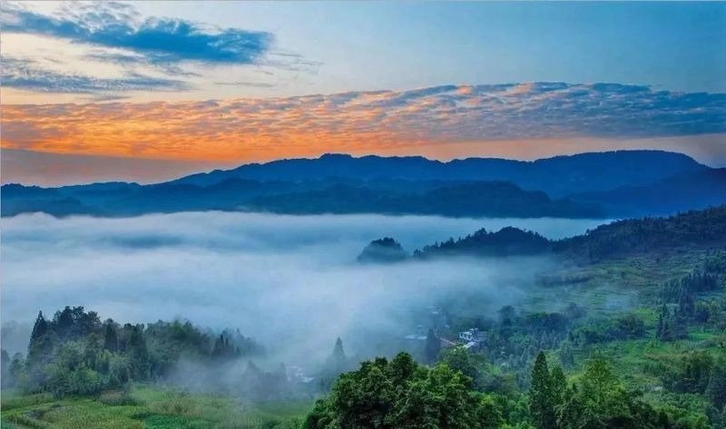 有关于名山区创建天府旅游名县,三月踏青采茶去,百丈湖邀你共赴春光的消息(1)