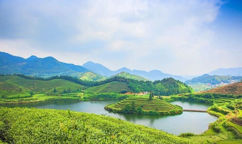 有关于名山区创建天府旅游名县,三月踏青采茶去,百丈湖邀你共赴春光的消息