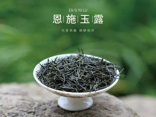 有关于恩施玉露借力非遗效应，大做“三茶”文章的新闻