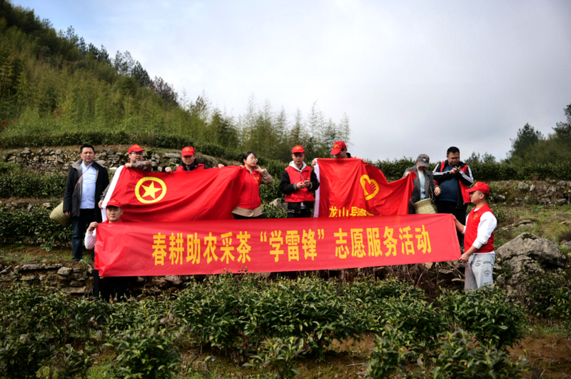 有关于龙山“志愿红”春耕助农采茶忙！的相关信息