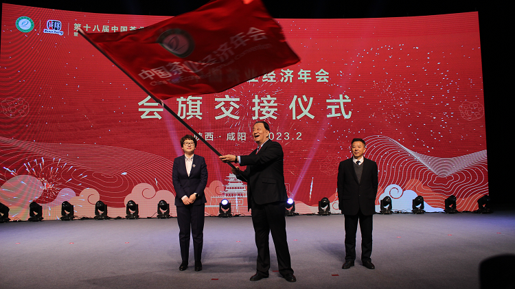 关于第十八届中国茶业经济年会在陕西咸阳盛大开幕 湖南茶业荣获多个奖项的信息(20)