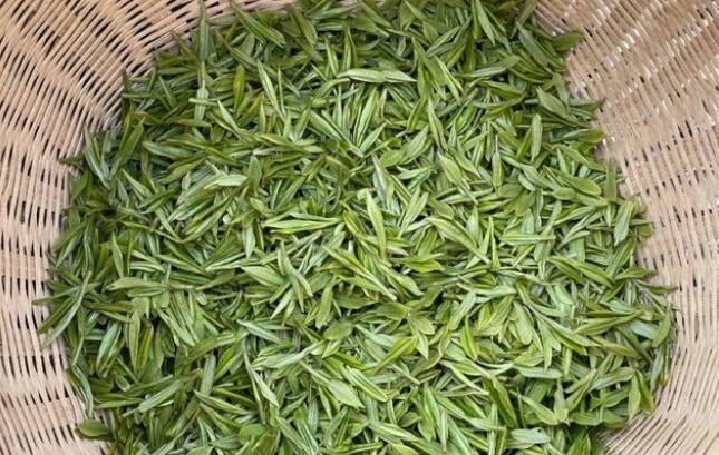 有关于杭州西湖龙井今日开采 跟着记者采茶去的资讯(1)