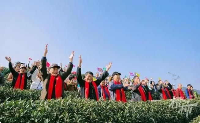 有关于”惊蛰节气，西湖边翁家山村“喊山祭茶”的新闻