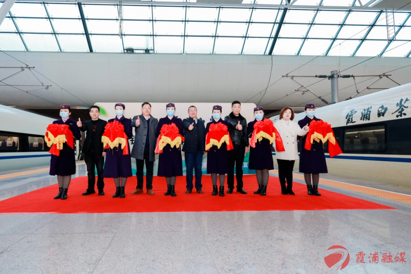 关于“霞浦白茶”高铁列车冠名首发仪式在上海虹桥动车站举行的消息