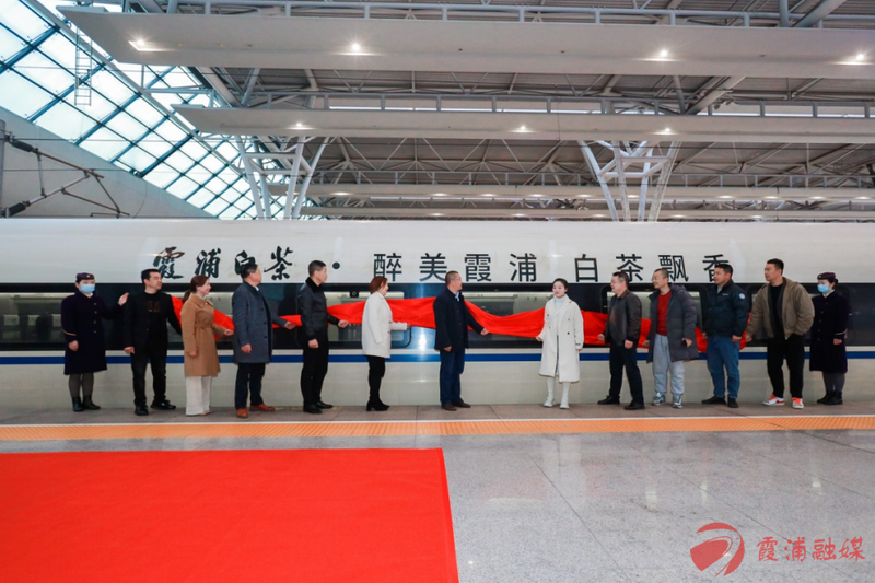 关于“霞浦白茶”高铁列车冠名首发仪式在上海虹桥动车站举行的消息(1)