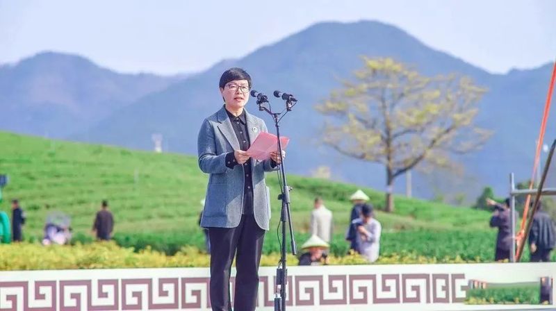 关于新昌好茶，如约而至，2023新昌大佛龙井新茶开采！的最新消息(2)