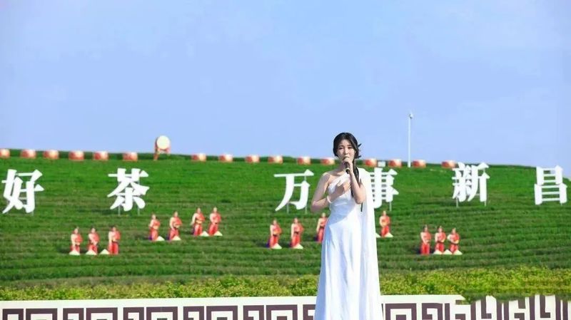 关于新昌好茶，如约而至，2023新昌大佛龙井新茶开采！的最新消息(6)