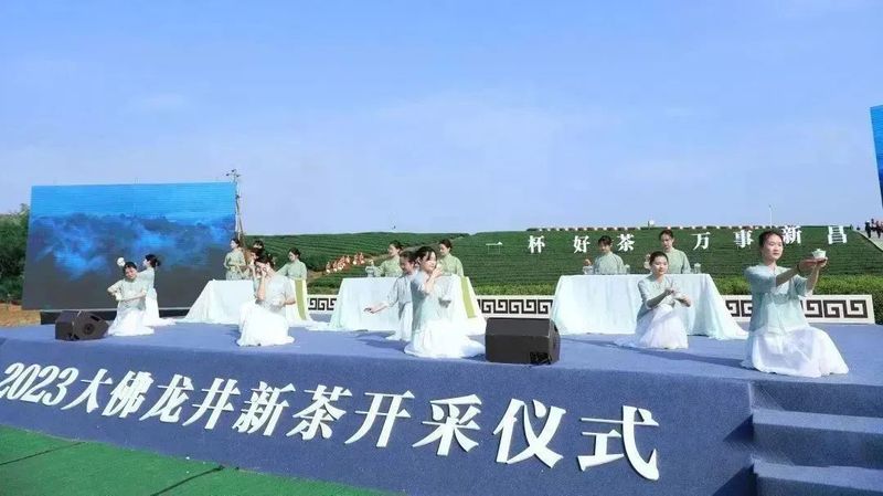 关于新昌好茶，如约而至，2023新昌大佛龙井新茶开采！的最新消息