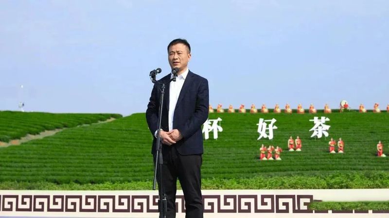 关于新昌好茶，如约而至，2023新昌大佛龙井新茶开采！的最新消息(1)
