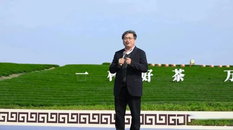 关于新昌好茶，如约而至，2023新昌大佛龙井新茶开采！的最新消息(3)