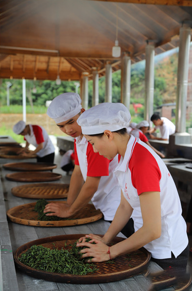 有关于多家央媒、区媒关注梧州六堡茶的信息(5)