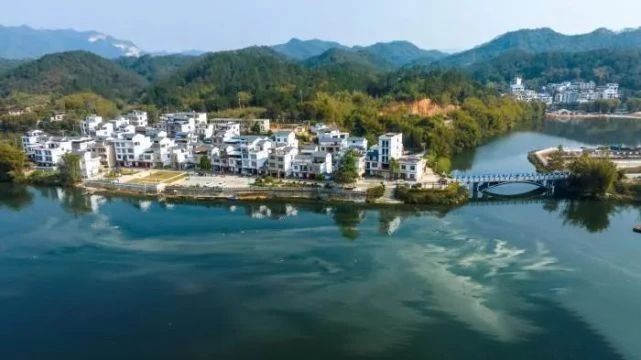 有关于多家央媒、区媒关注梧州六堡茶的信息(13)