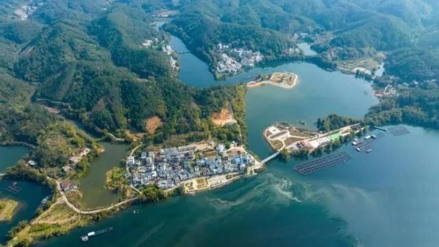 有关于多家央媒、区媒关注梧州六堡茶的信息(16)