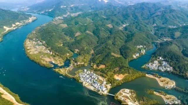 有关于多家央媒、区媒关注梧州六堡茶的信息(14)