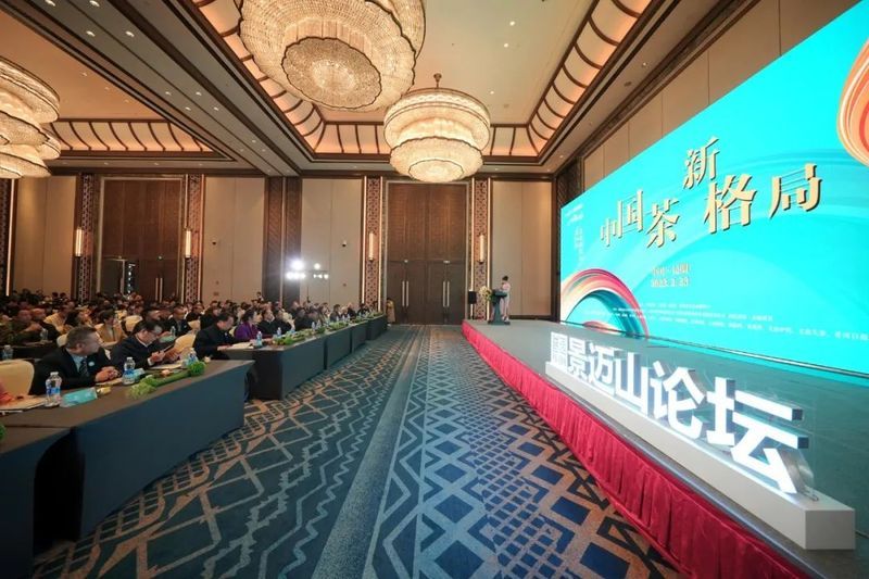 有关于“2023年全国各地茶博会”“景迈山论坛”“中国非遗制茶大会”的新闻(2)