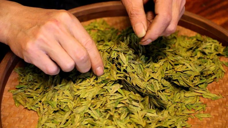 有关于中泰街道头茬“乌牛早”开采啦！的相关内容(4)