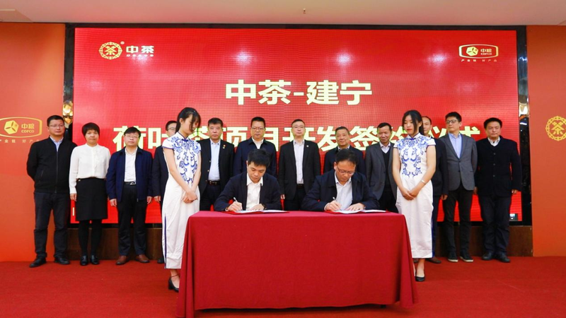 关于以民生好茶服务百姓，这场茶叶质量安全会议有哪些亮点值得关注？的相关内容(11)