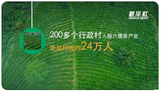 关于六堡茶·香世界，新华社晒梧州六堡茶“成绩单”的资讯(2)