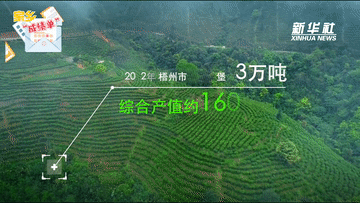 关于六堡茶·香世界，新华社晒梧州六堡茶“成绩单”的资讯(1)