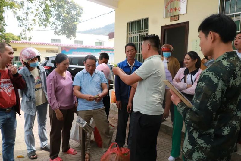 关于白沙：政企携手助推野生古树茶产业高质量发展的资讯(2)