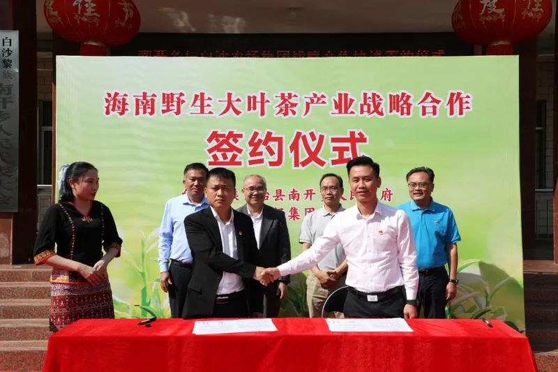 关于白沙：政企携手助推野生古树茶产业高质量发展的资讯(1)