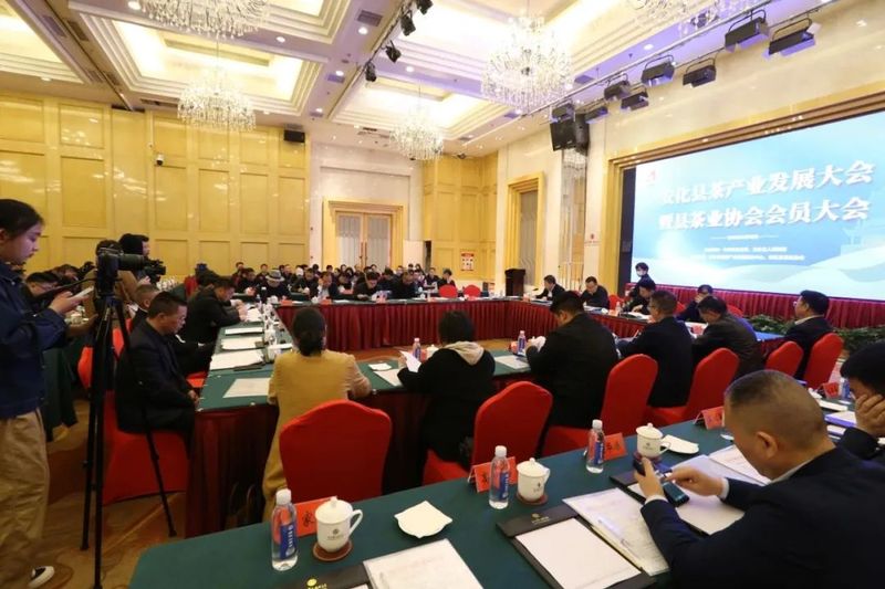 关于安化黑茶产业高质量发展勇毅前行的最新消息(7)