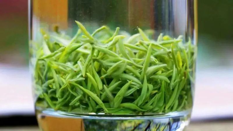 有关于2023春茶季,洞庭山碧螺春、西湖龙井、湄潭翠芽开采的相关信息(3)