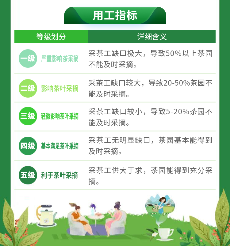有关于2023春茶季,洞庭山碧螺春、西湖龙井、湄潭翠芽开采的相关信息(15)