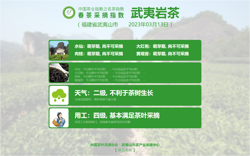 有关于2023春茶季,洞庭山碧螺春、西湖龙井、湄潭翠芽开采的相关信息(24)