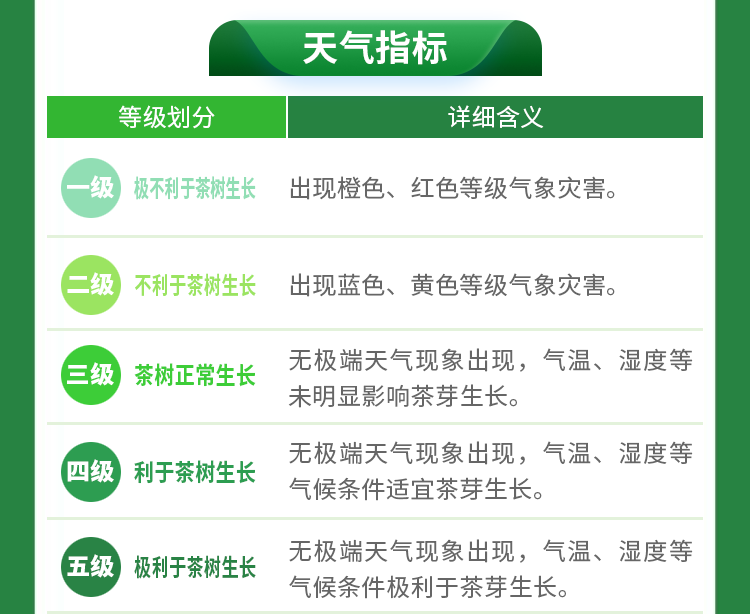 有关于2023春茶季,洞庭山碧螺春、西湖龙井、湄潭翠芽开采的相关信息(14)