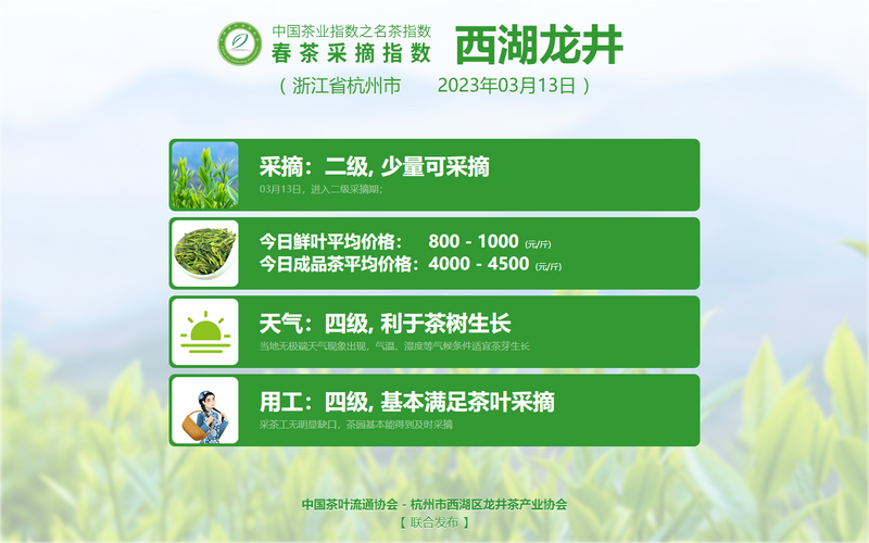 有关于2023春茶季,洞庭山碧螺春、西湖龙井、湄潭翠芽开采的相关信息(17)