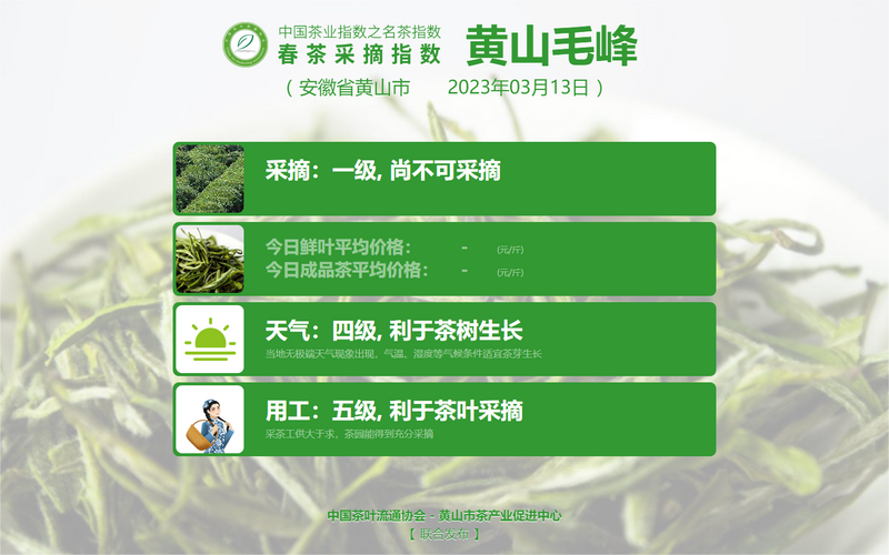 有关于2023春茶季,洞庭山碧螺春、西湖龙井、湄潭翠芽开采的相关信息(20)