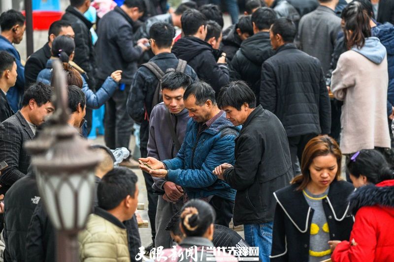 有关于贵州普安：春茶上市 产销两旺的最新消息(12)